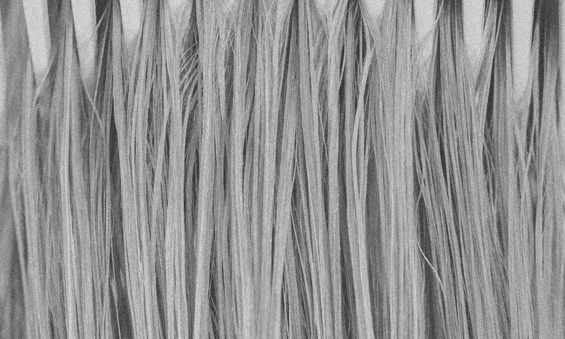 How to Grow Without Losing What Makes You Special