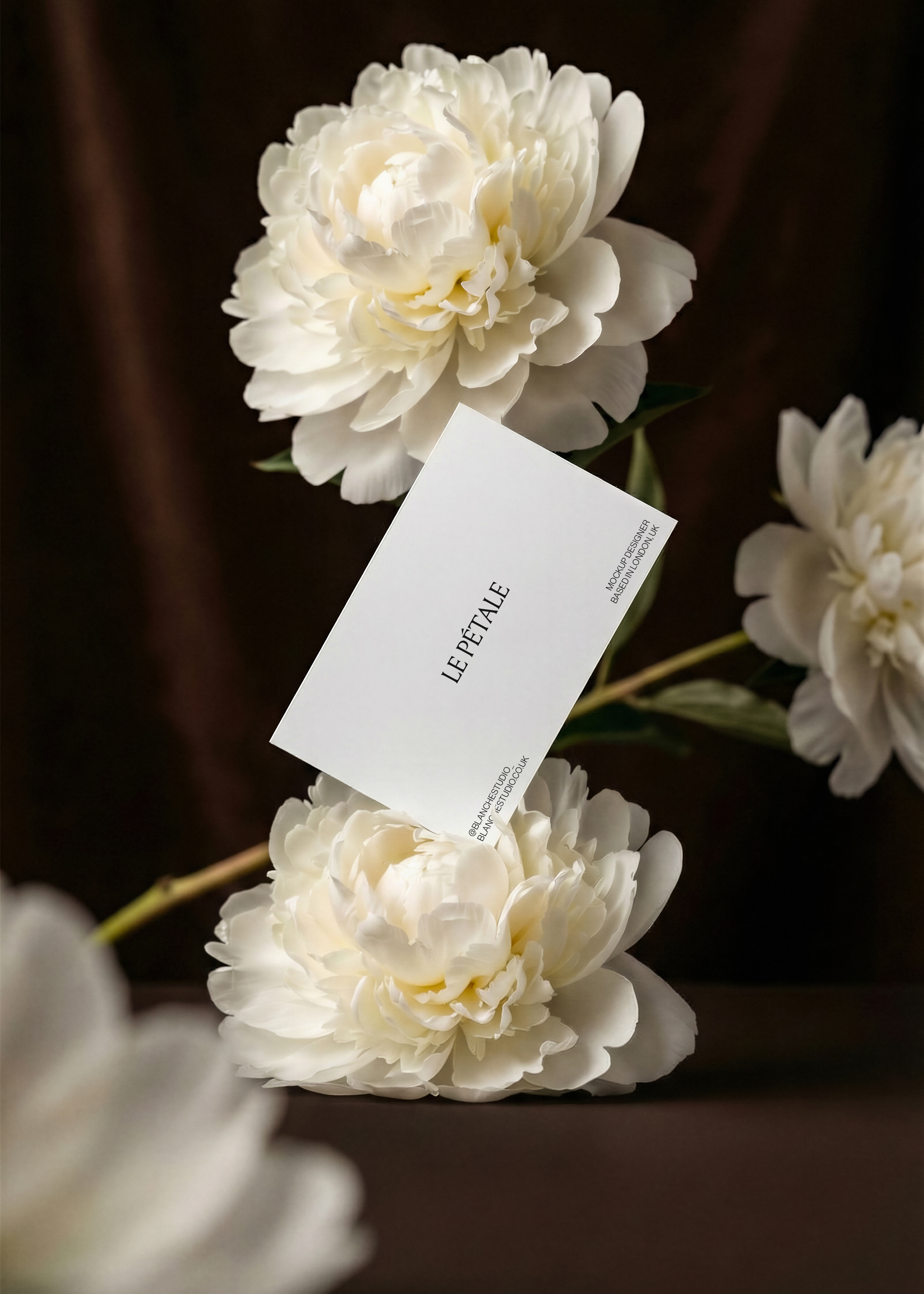 Business card mockup held between two cream peonies, dark espresso backdrop, additional peony stems framing, angled portrait view