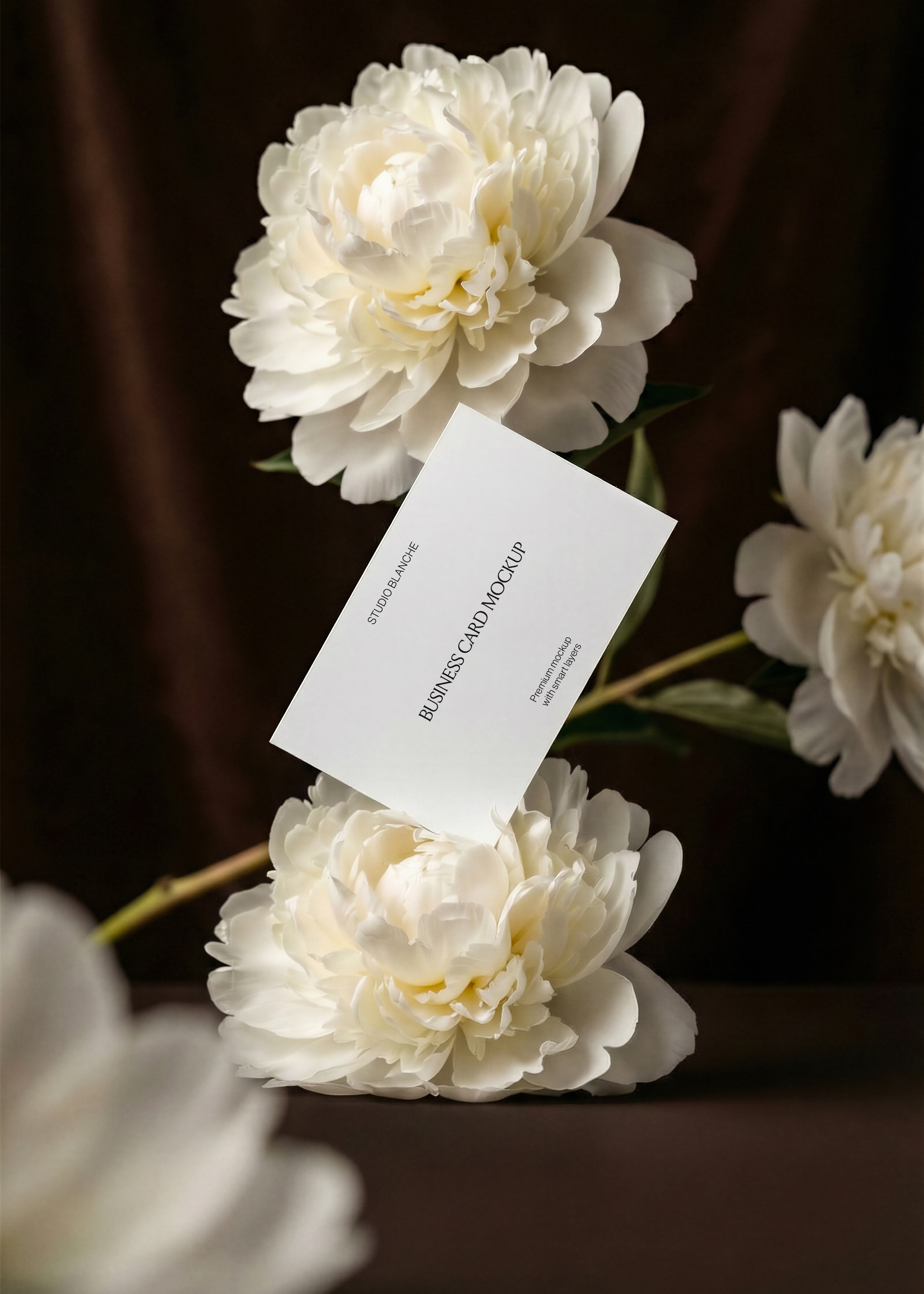 Business card mockup nestled between full cream peony blooms, dark brown background, foreground peony and crossing stem detail 
