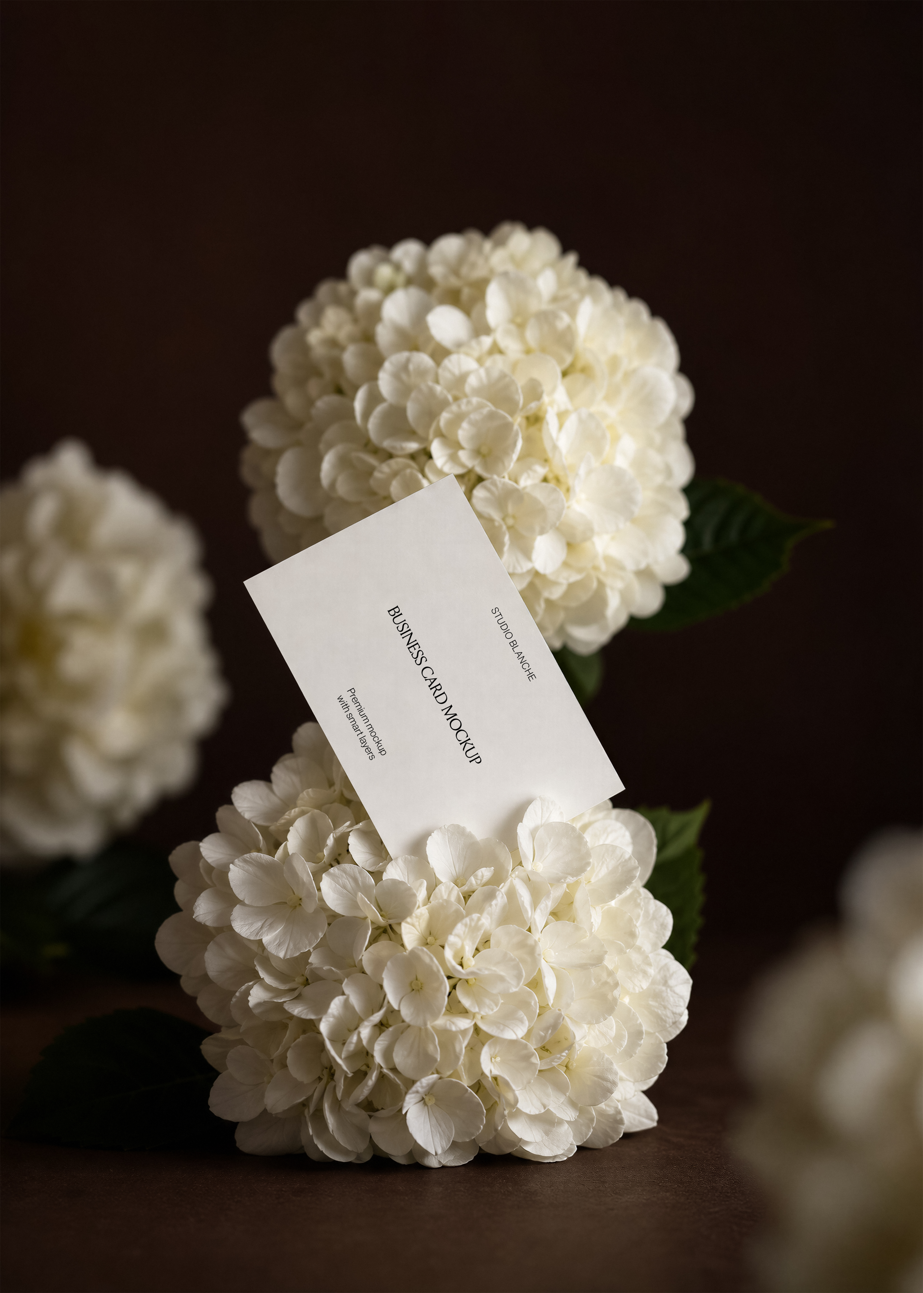 Business card mockup with plain text placeholder resting on white hydrangea blooms against dark velvet surface