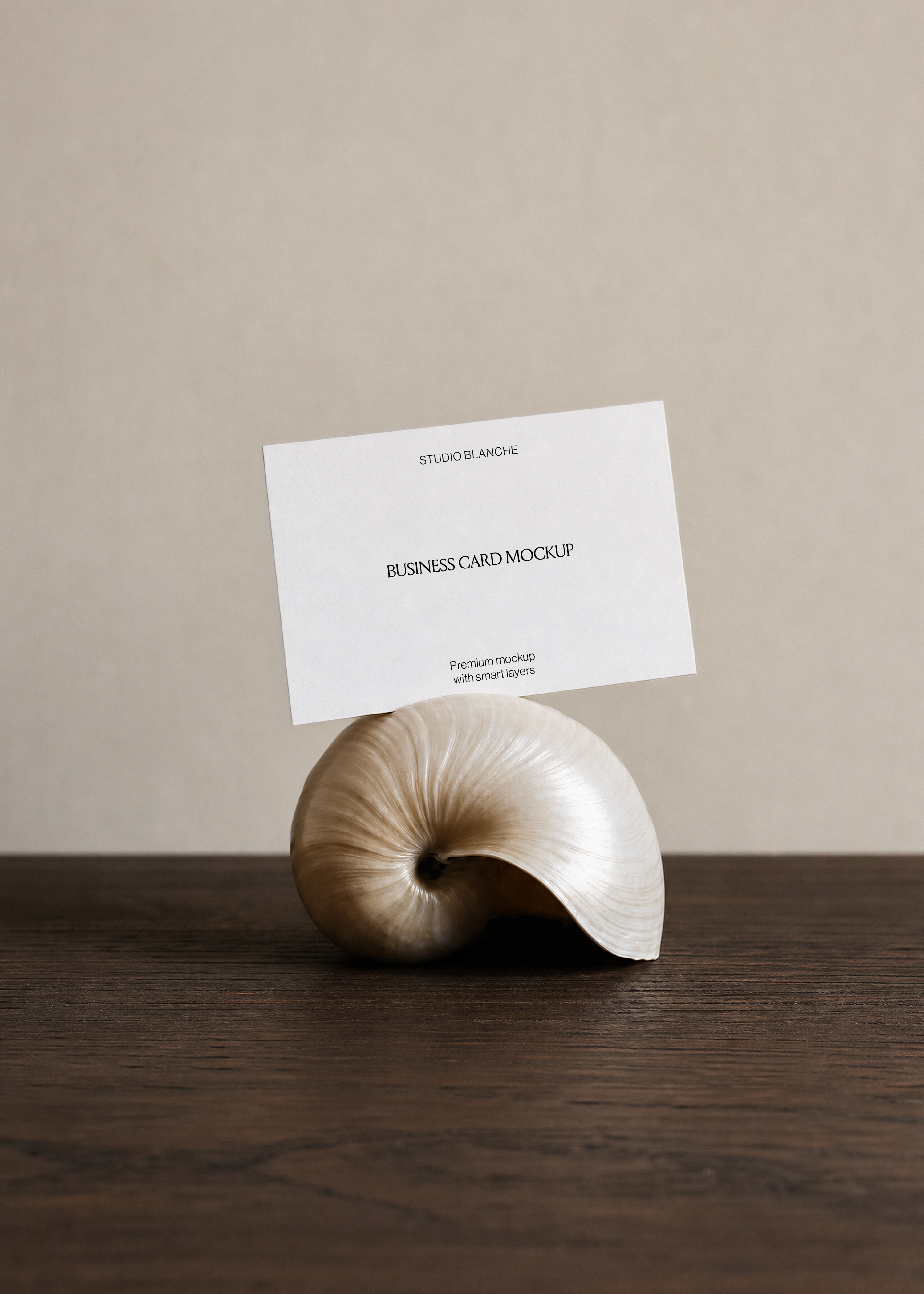 Business card mockup with minimal wordmark and contact details, resting in a shell holder against a soft beige backdrop