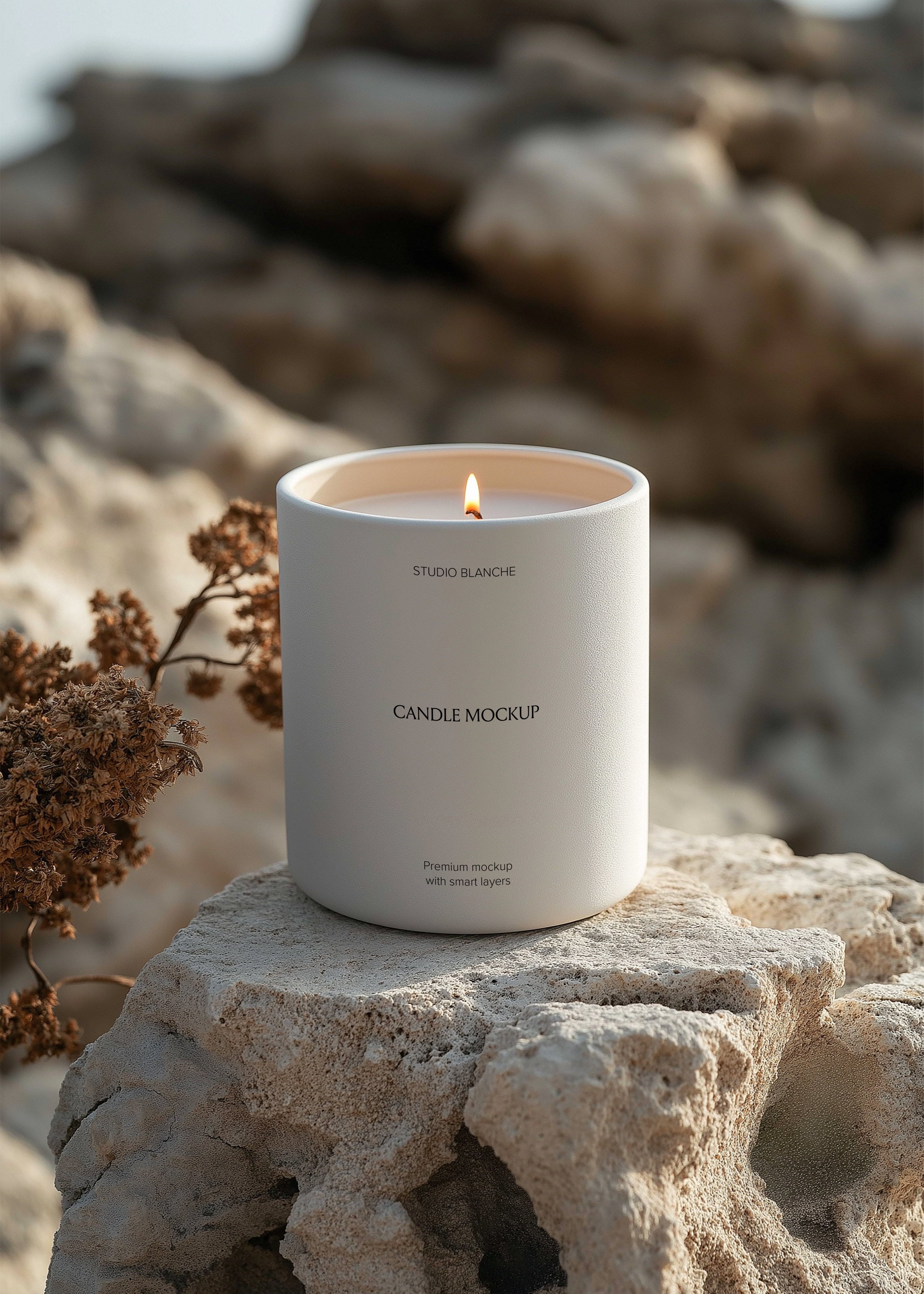 Lit white candle jar mockup on textured limestone coastal rock, dried botanical stems alongside, blurred rock backdrop