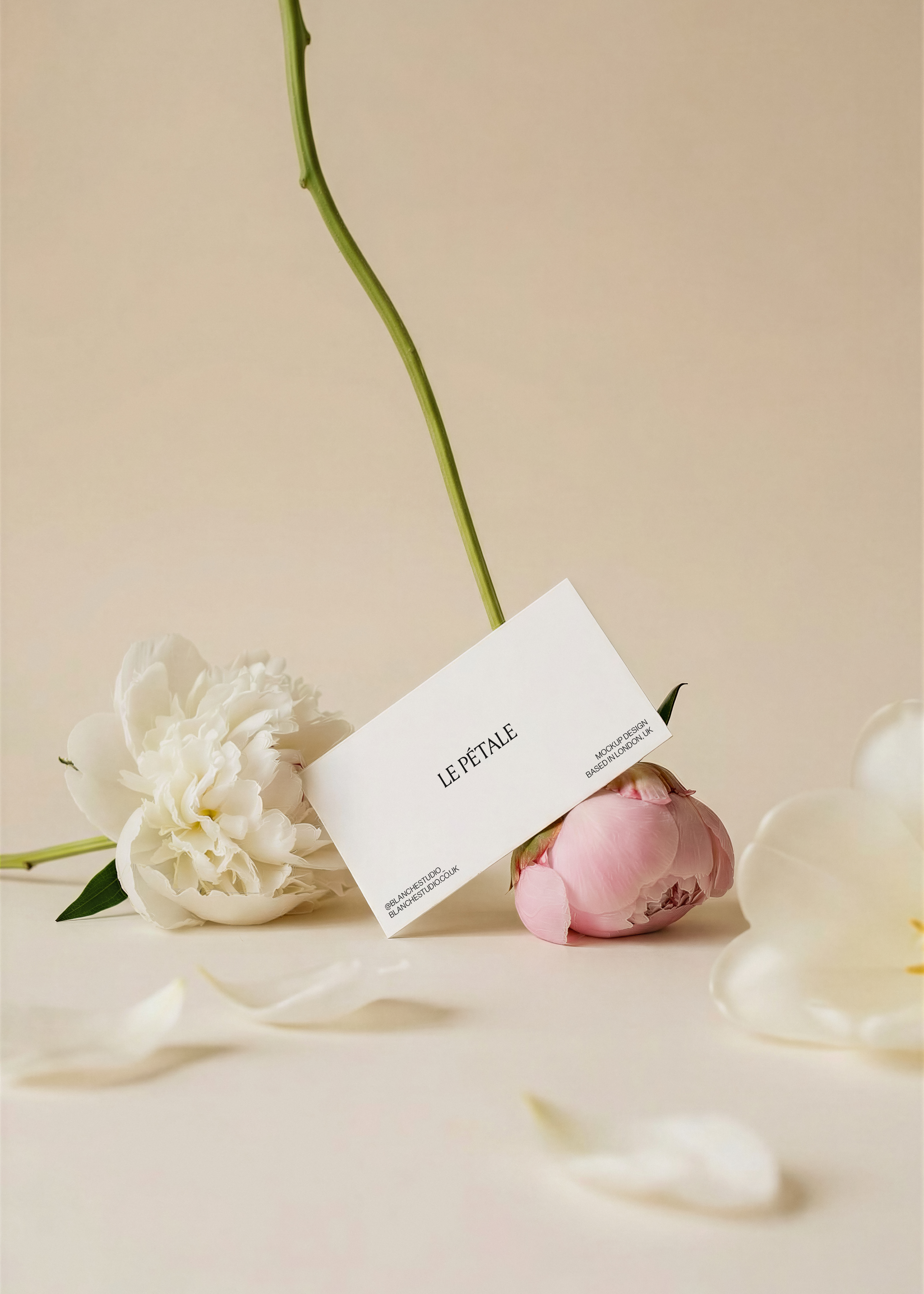 Business card mockup leaning against pink peony bud, white peony and scattered petals, rose stem, warm sand backdrop, angled view