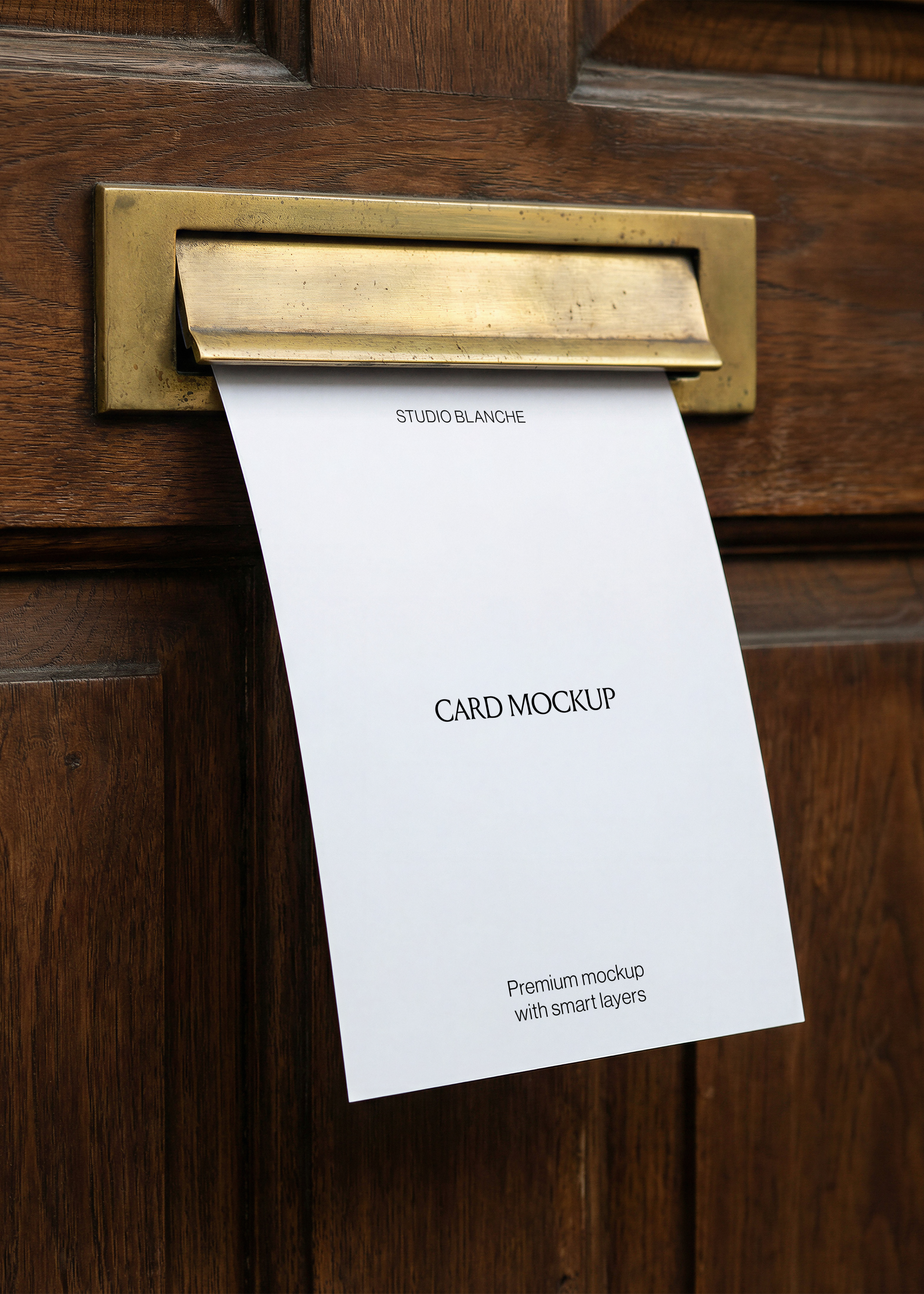 Blank white card mockup curving out of an antique brass letterbox on a dark panelled oak door, angled view