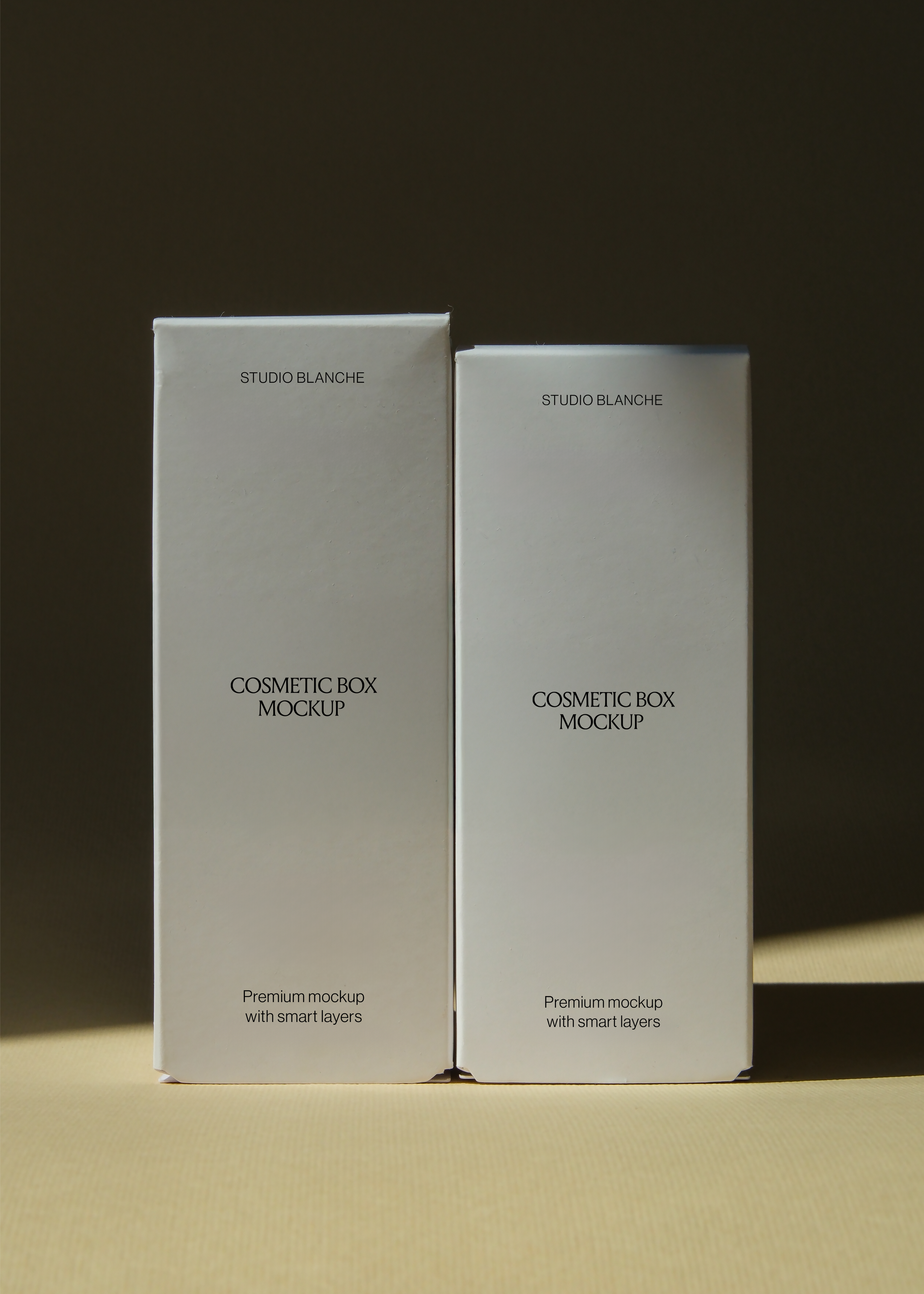 Rear view of paired cosmetic packaging boxes on sandy surface, dark background, low warm light casting long shadows