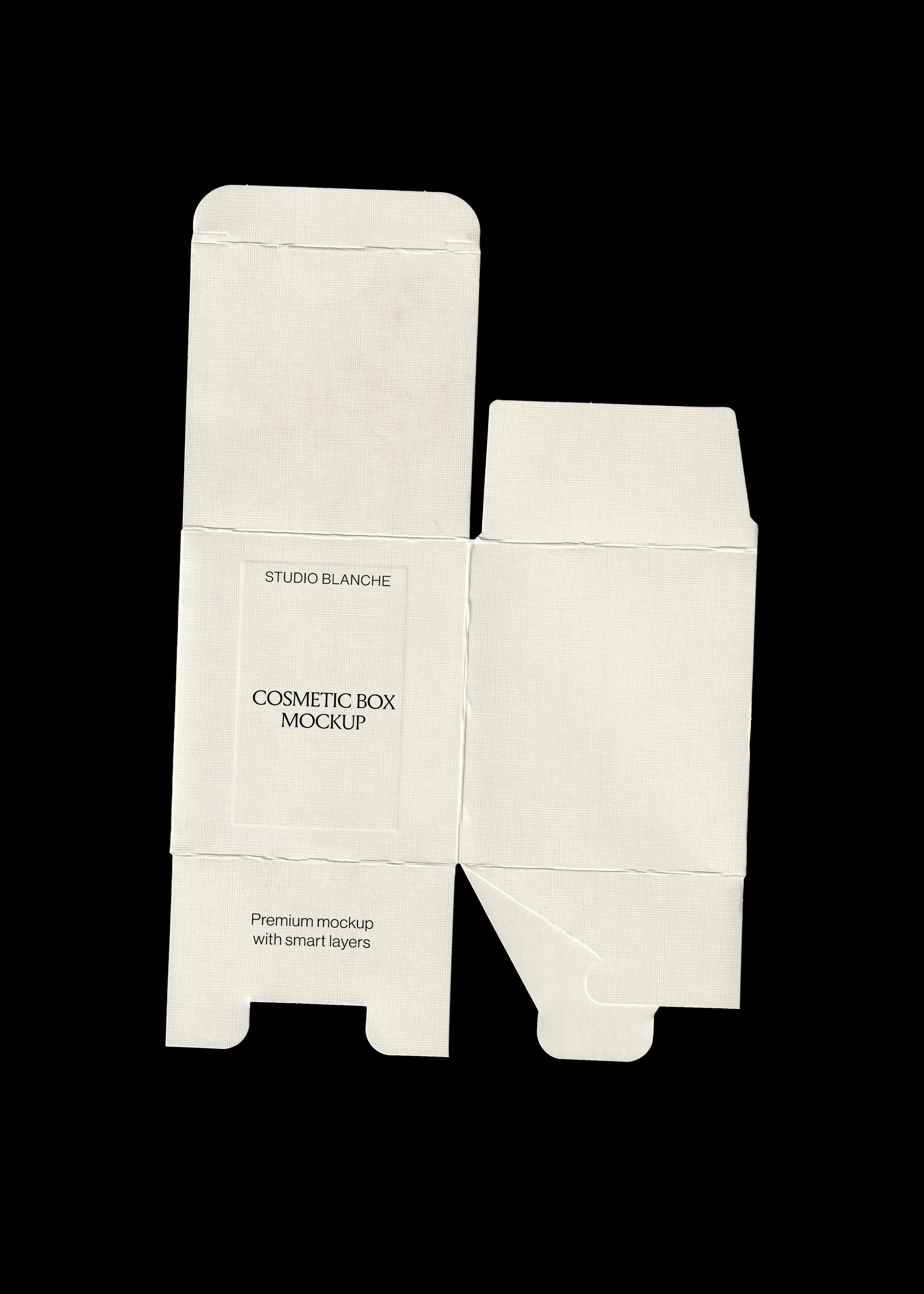 Flat cosmetic box mockup die-line in textured off-white card with tuck flaps and small serif type, on black