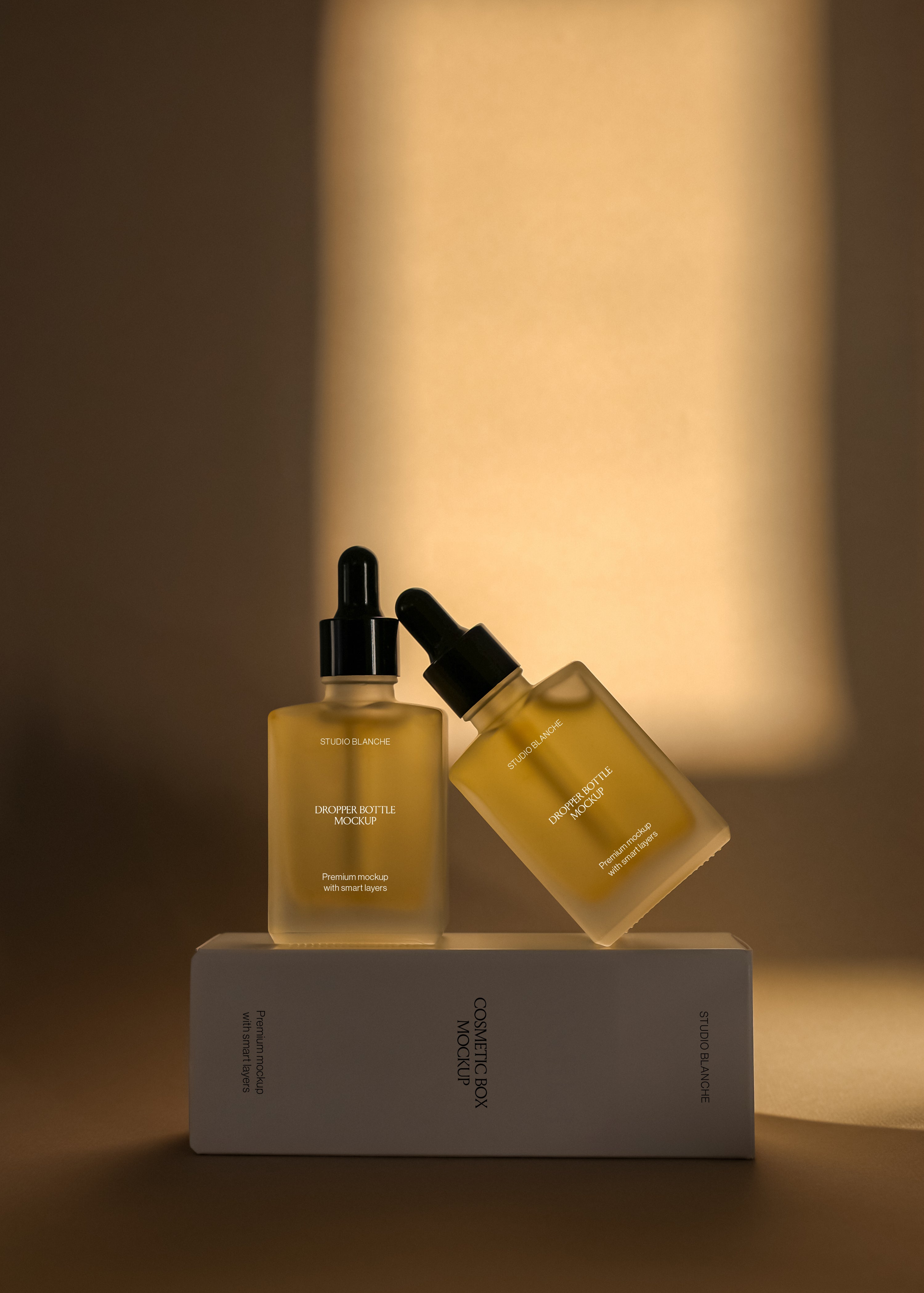 Dropper bottle and cosmetic box mockup pairing with black pipette caps, soft warm light behind sculptural styling