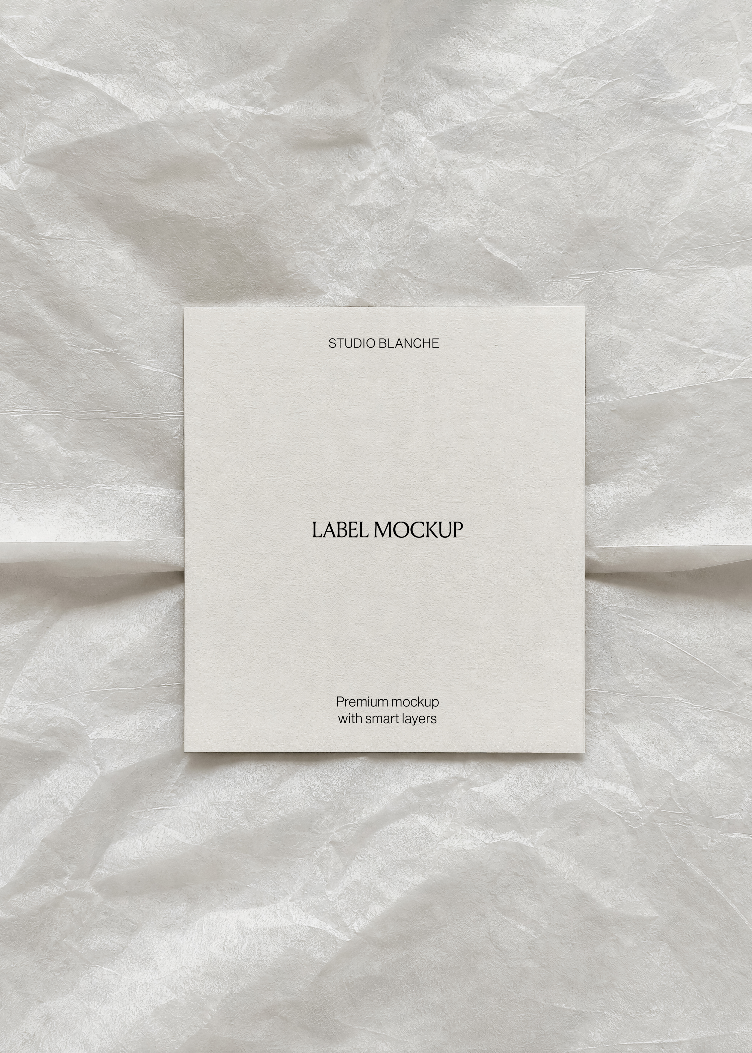 Blank label card on crumpled white tissue paper, printed logo detail, soft tonal packaging flat lay