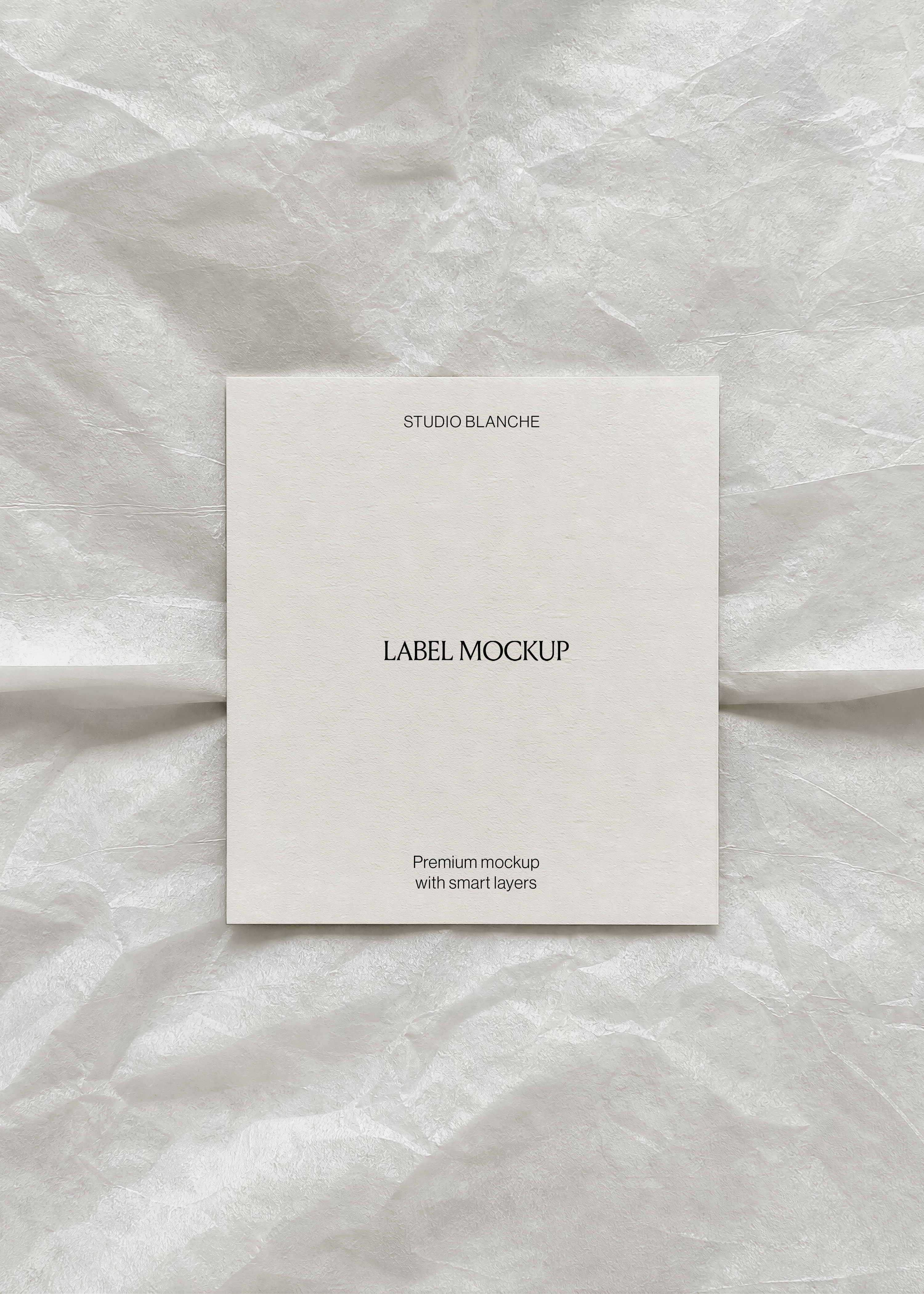 Blank label card on crumpled white tissue paper, printed logo detail, soft tonal packaging flat lay