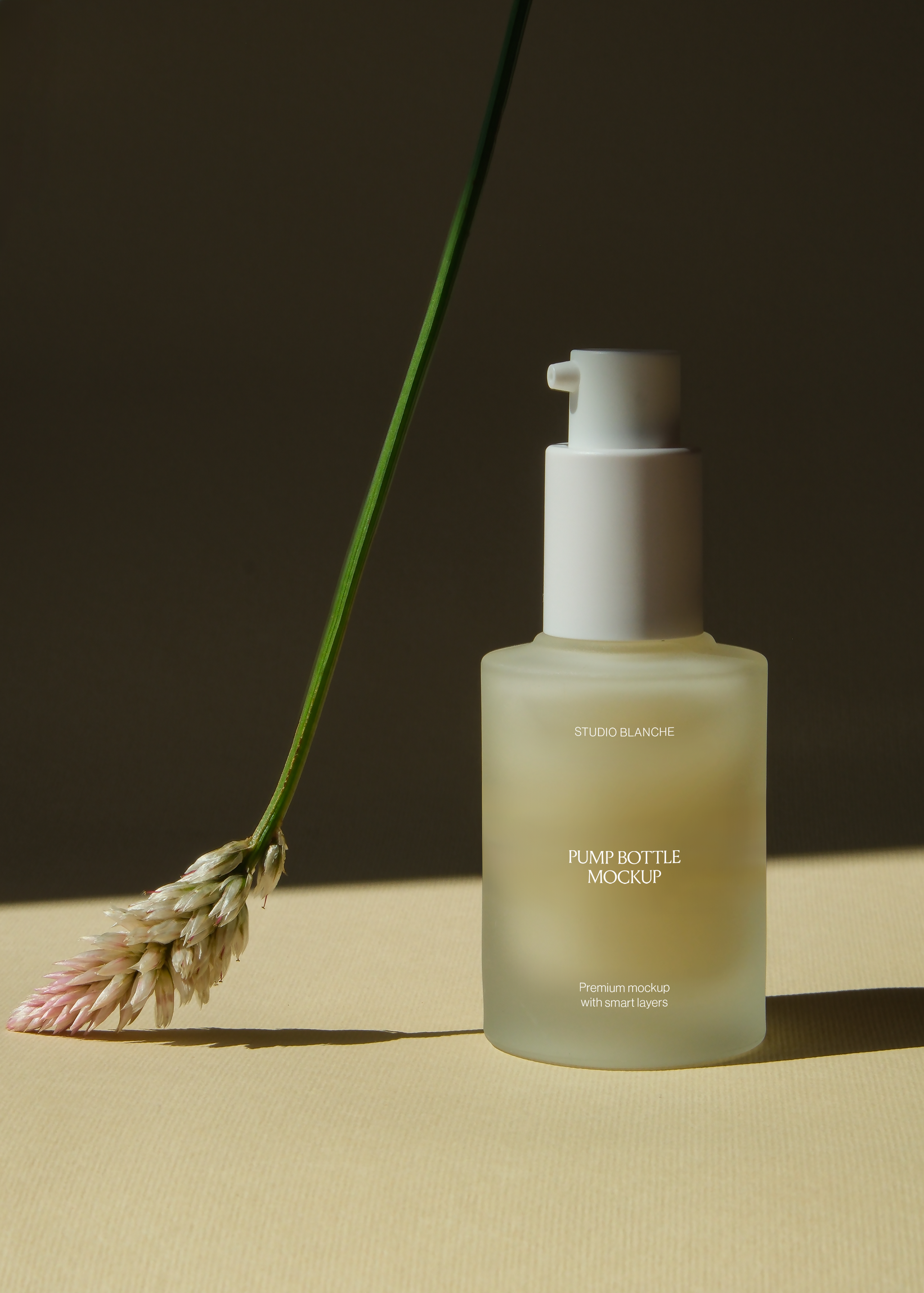 Close view of frosted cosmetic pump bottle with white cap against dark wall, dried grass stem alongside