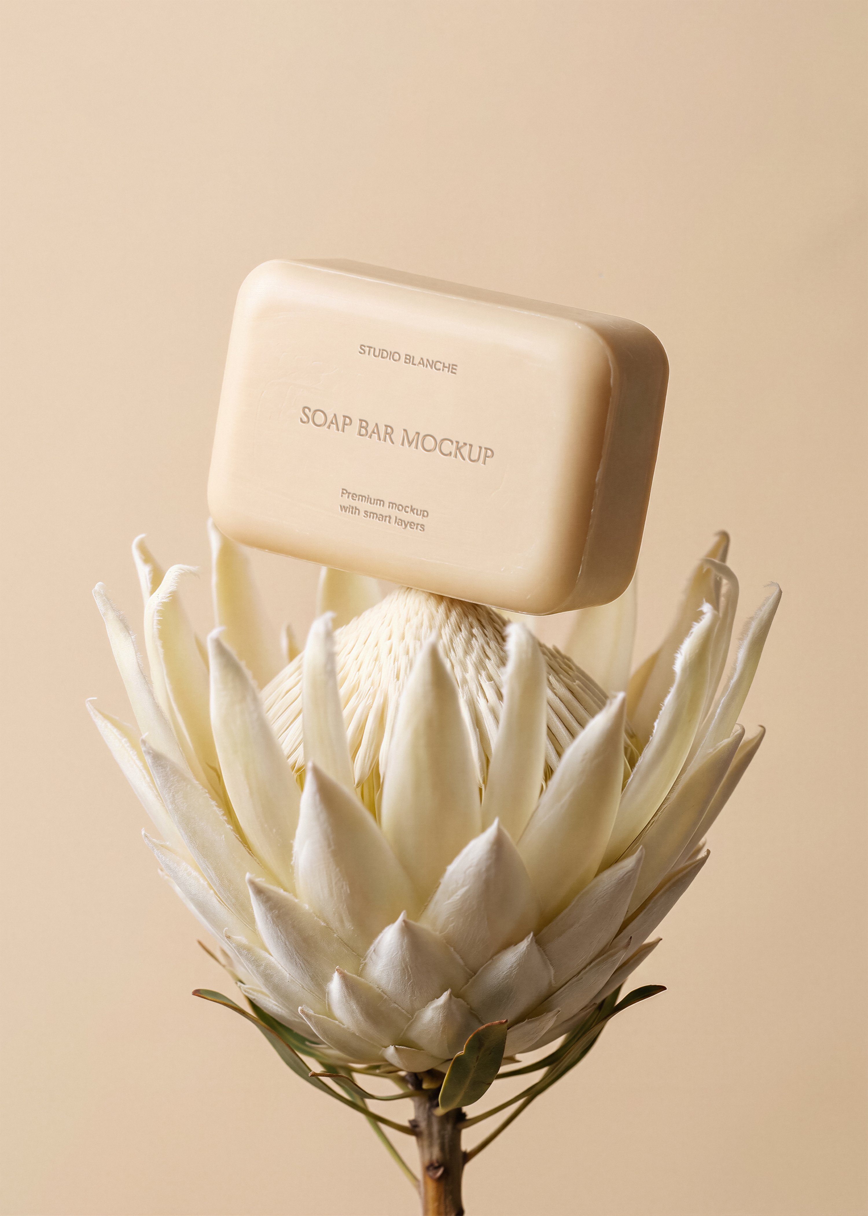 Soap bar mockup tilted against a white protea bloom on a warm sand backdrop, minimal botanical editorial styling