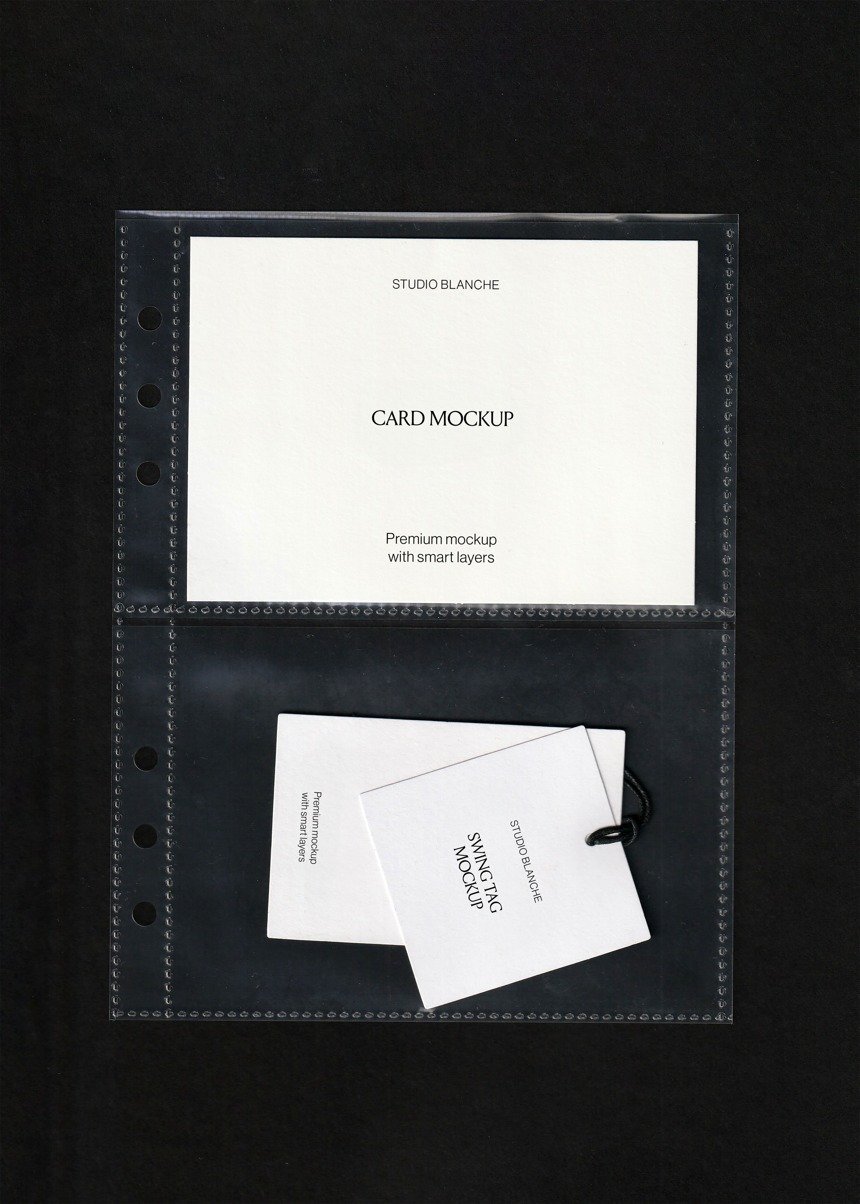 Scanned stationery mockup, blank white card and two white swing tags with black cord in punched pockets