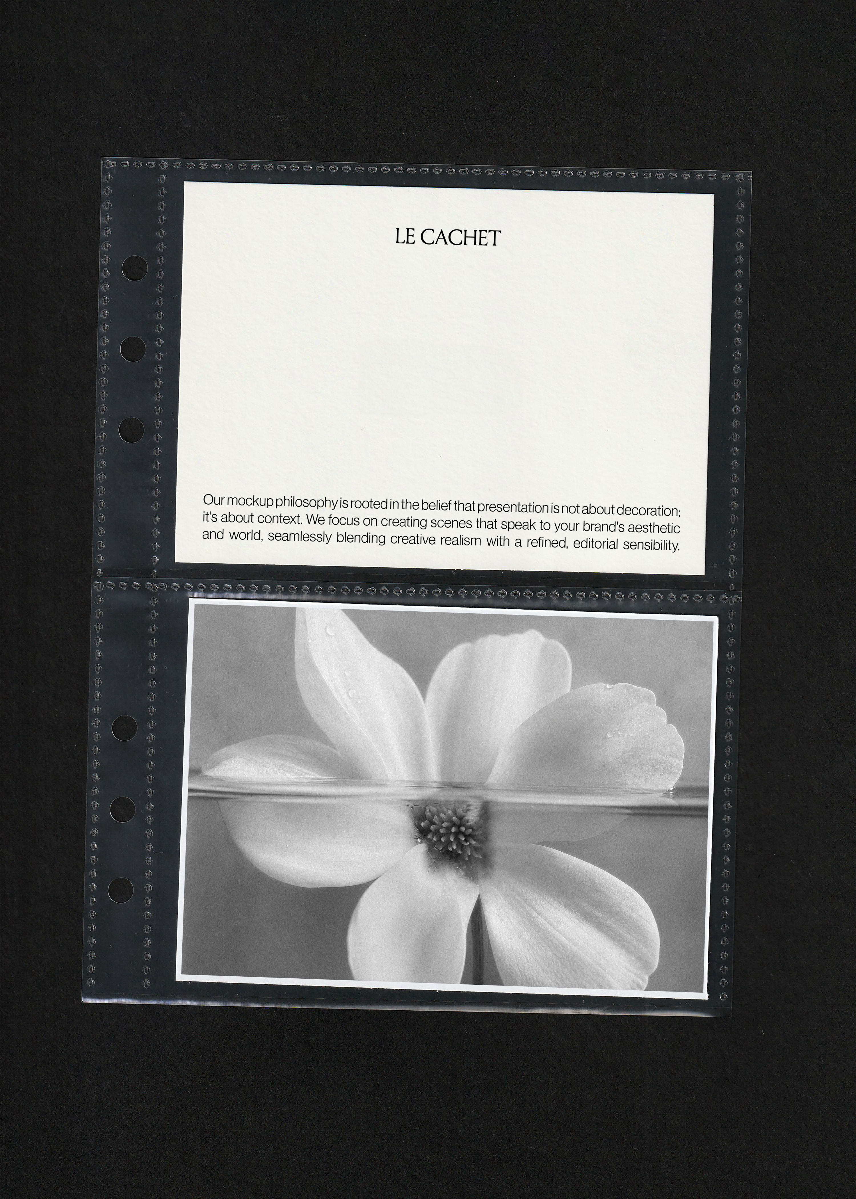 Card duo mockup in a punched pocket, cream card above a black and white flower photograph card on black