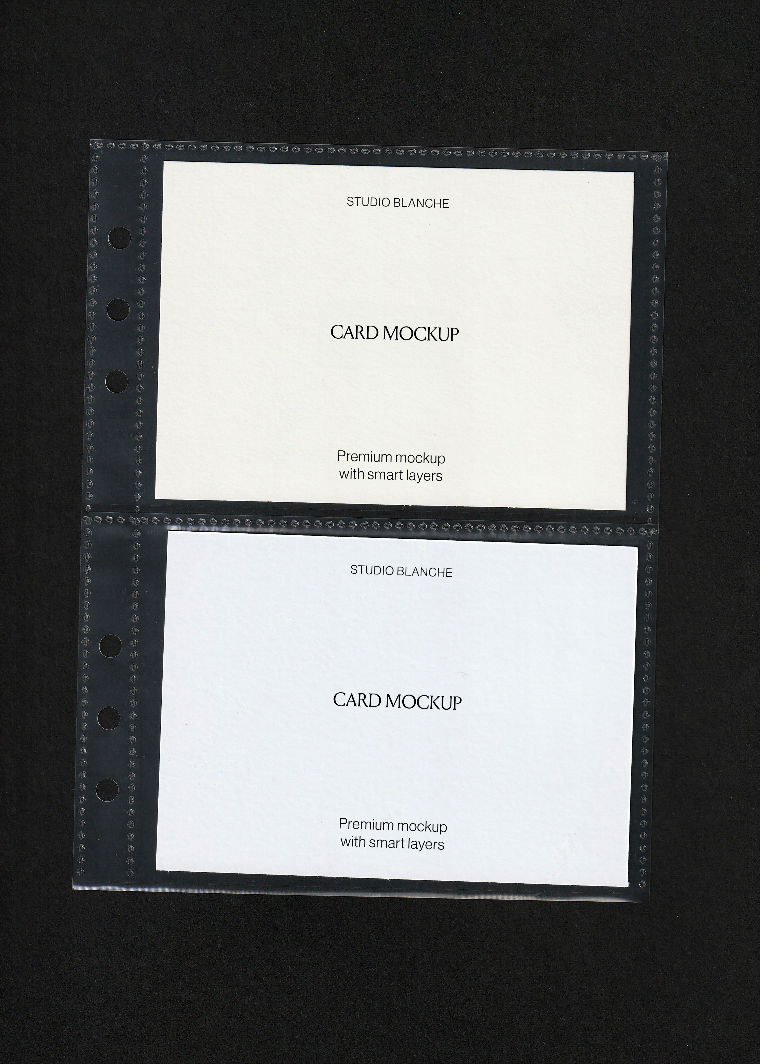 Card mockup duo in cream and cool white stacked inside a clear punched pocket sleeve, black background
