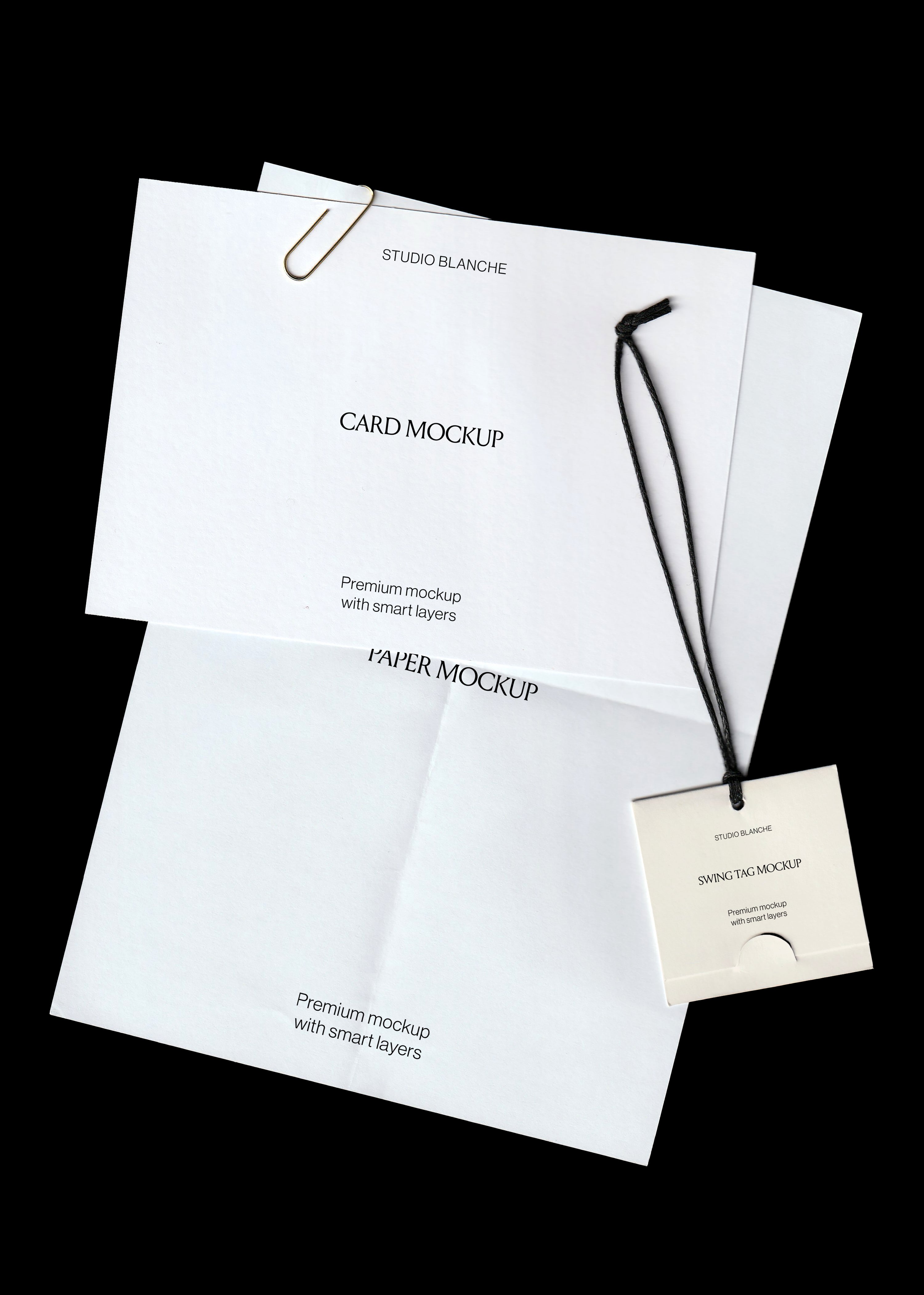 Scanned stationery mockup, blank white card, folded paper sheet and cream swing tag on black cord