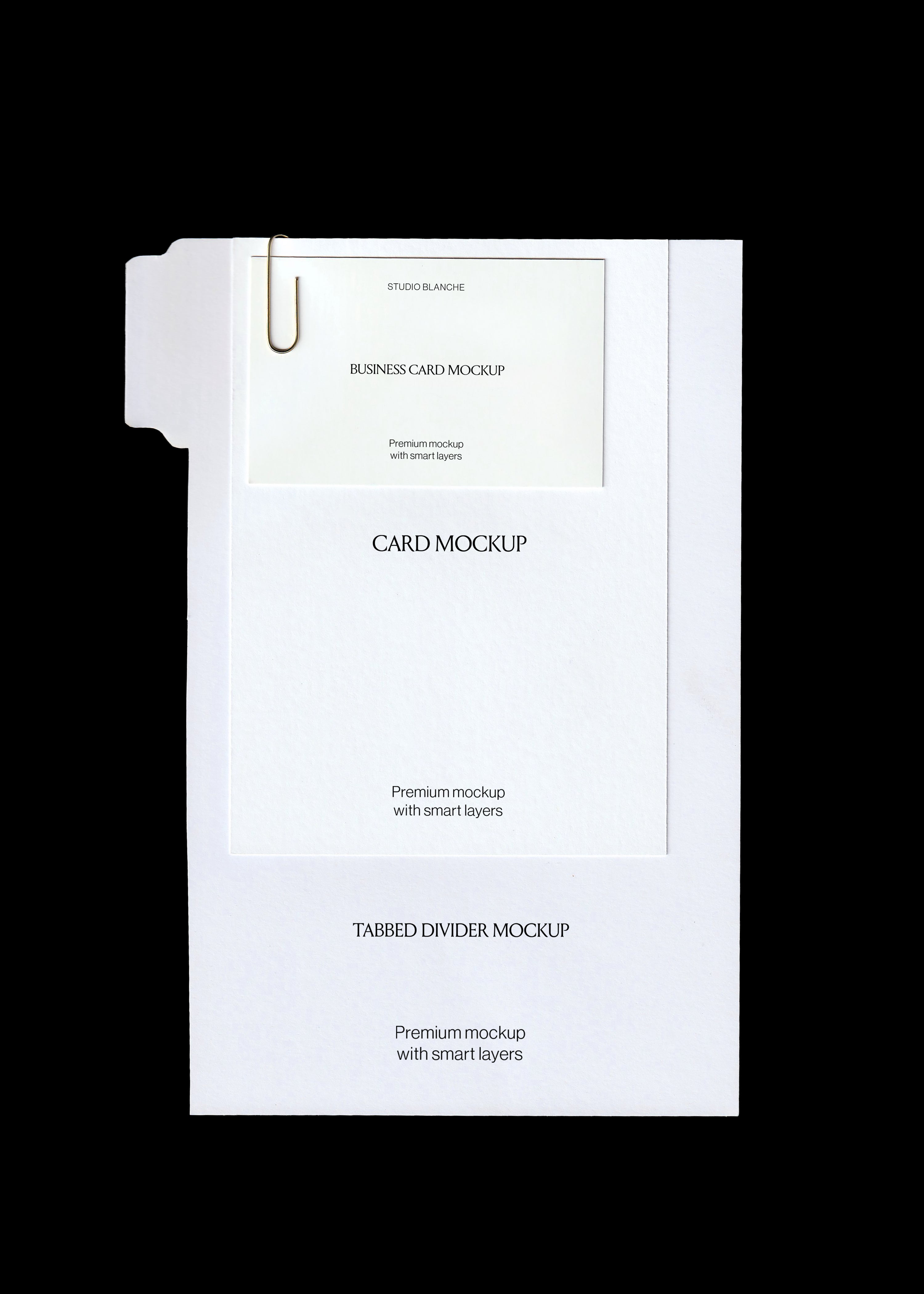 Scanned stationery mockup, blank white tabbed divider, card and business card held by a gold paperclip