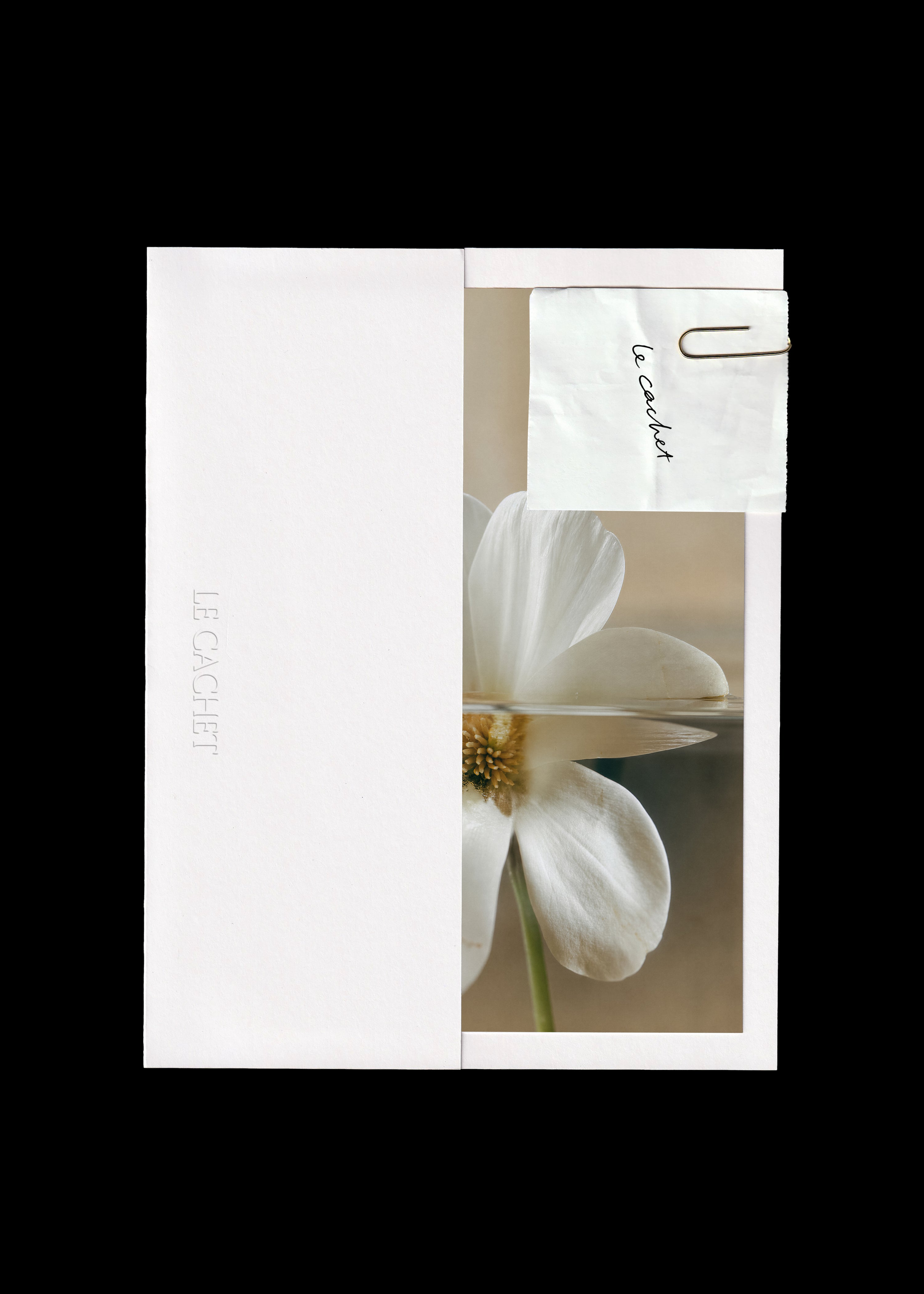 Scanned card holder and note mockup, white paper sleeve beside a warm flower print with a gold paperclip note