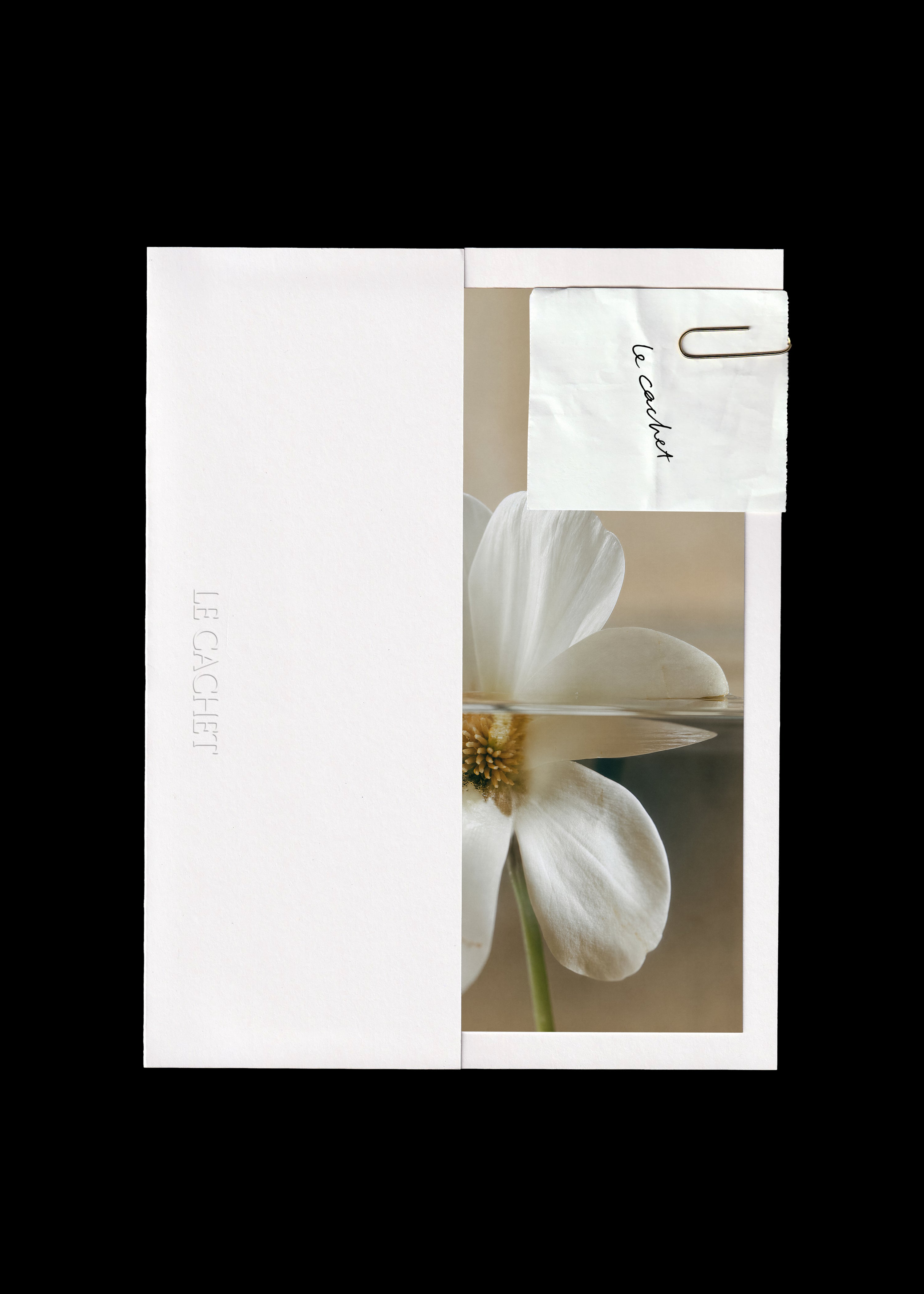 Scanned card holder and note mockup, white paper sleeve beside a warm flower print with a gold paperclip note