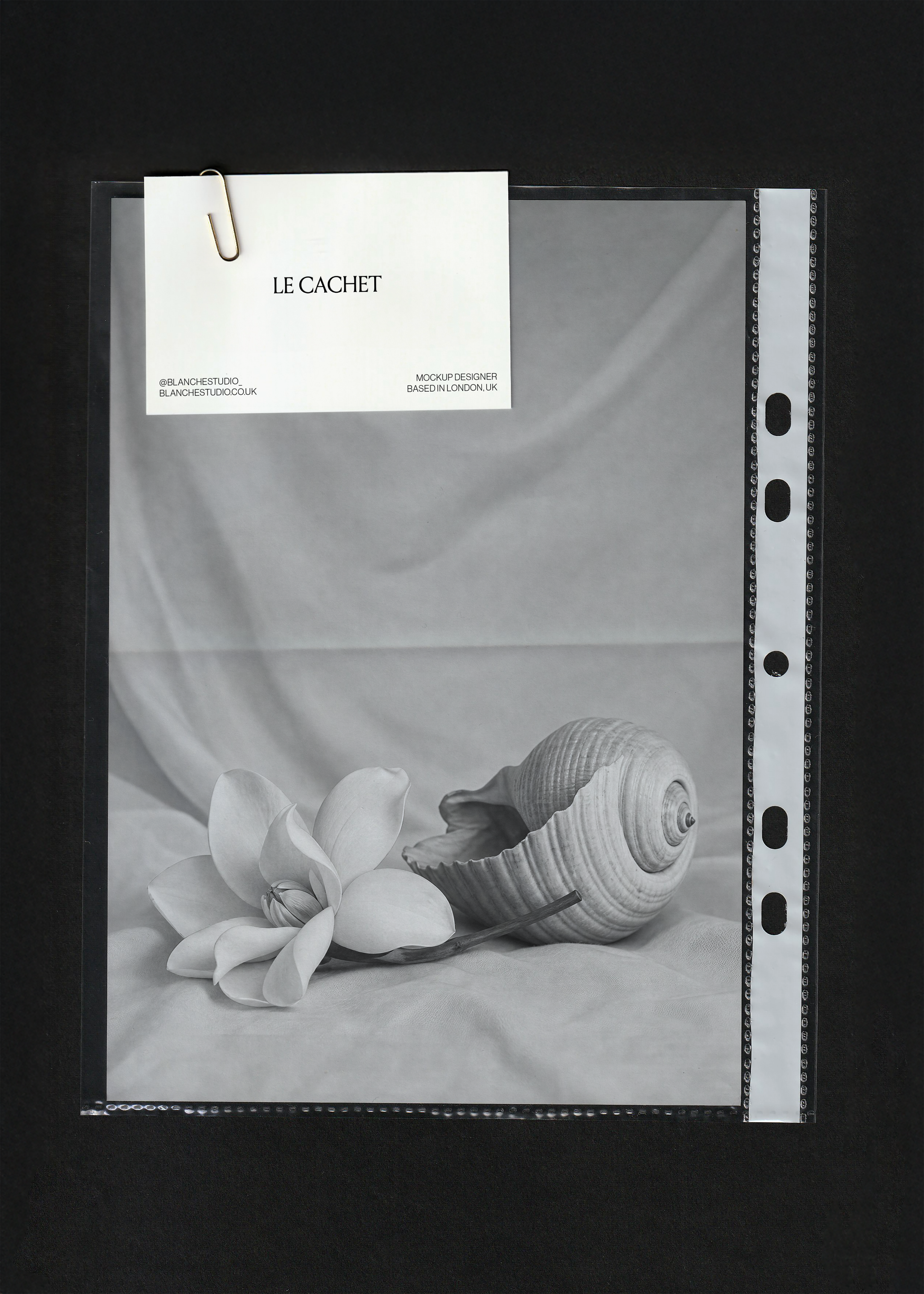 Scanned stationery mockup with a business card clipped over a black and white flower and shell print in a plastic sleeve
