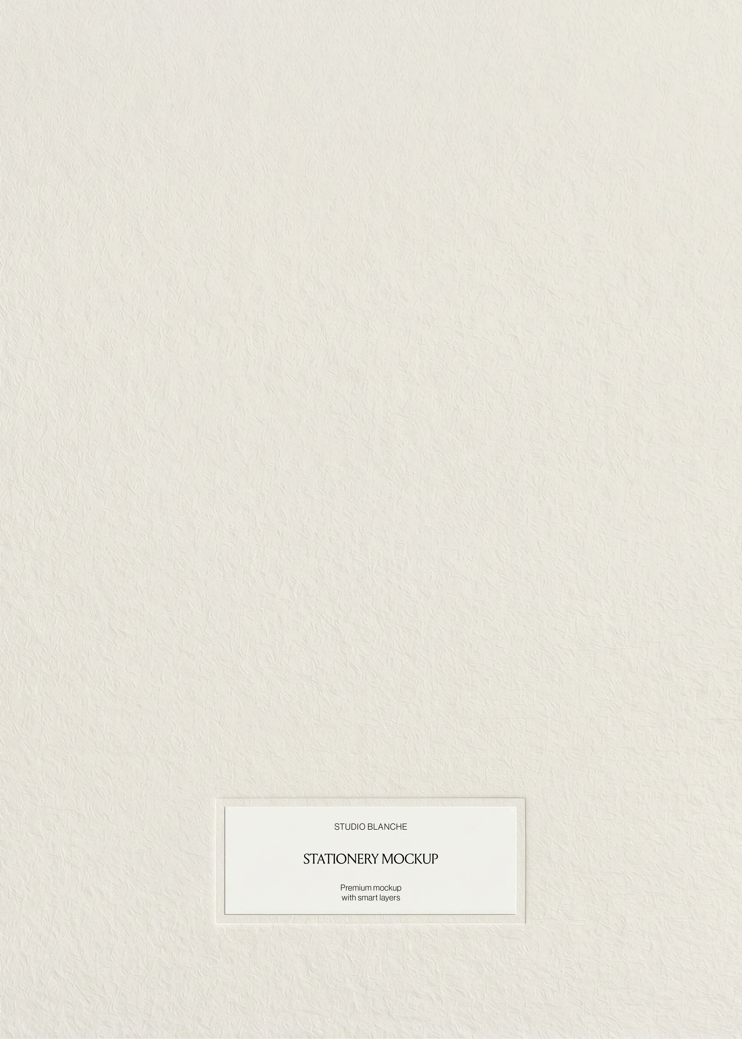 Close view of white stationery card on textured cream paper background, blank label with thin border, warm neutral tones