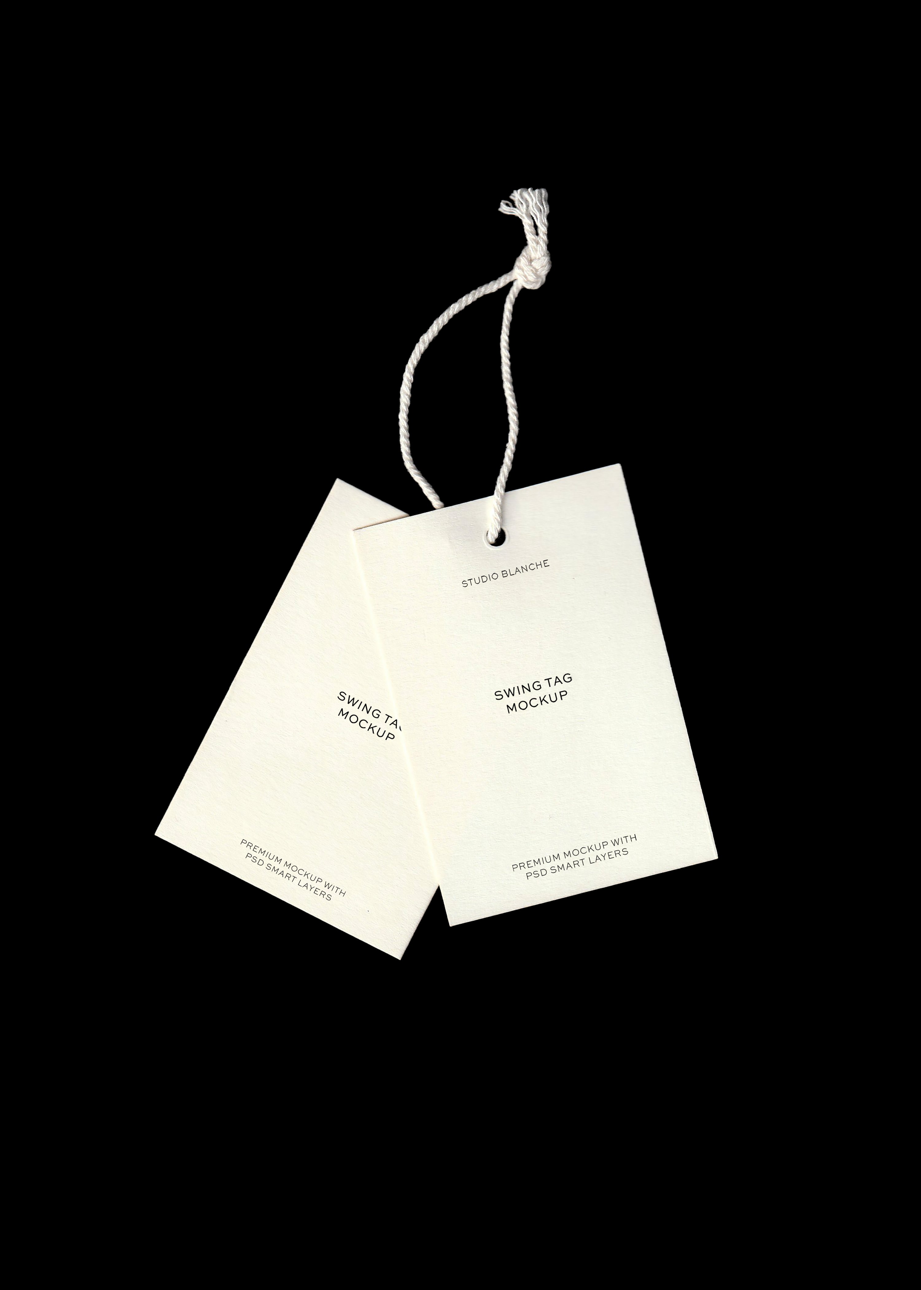 Pair of blank cream swing tag mockups on knotted cotton cord, suspended against a black background