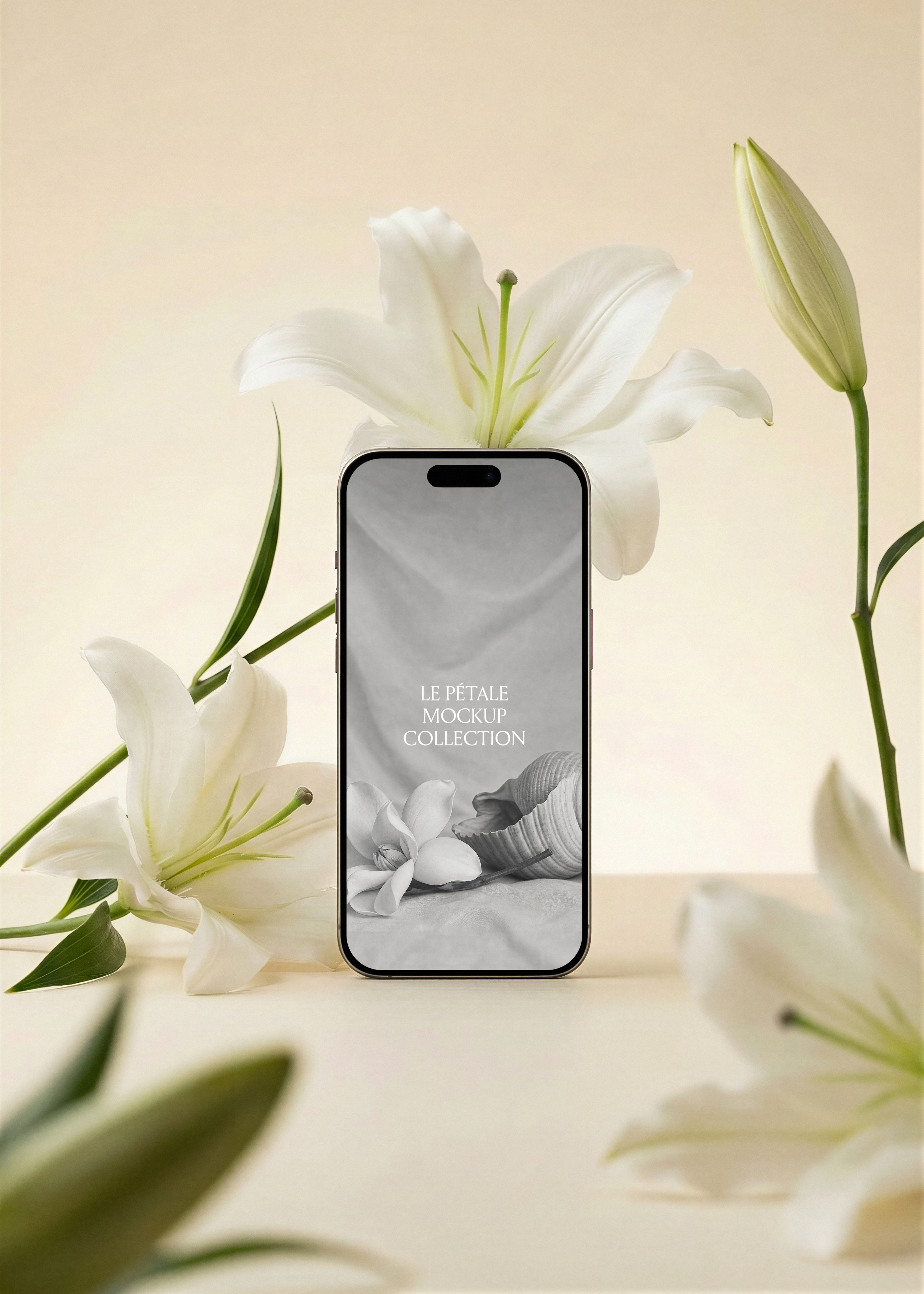 iPhone mockup with screen design, white oriental lily overhead, bud stem right, blurred lily foreground, warm sand backdrop
